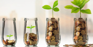 Read more about the article How to start investing with small money